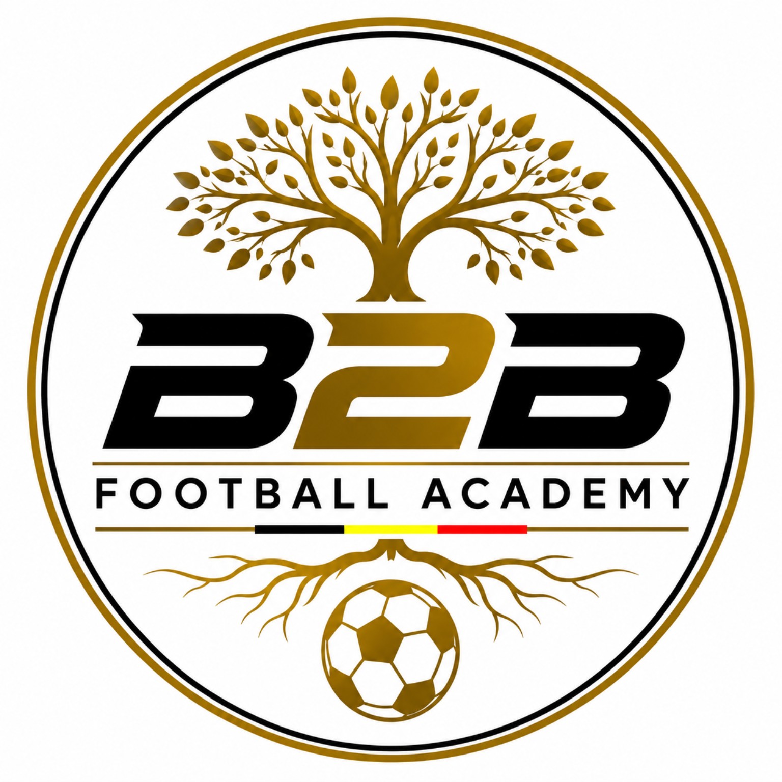 B2B Football Academy